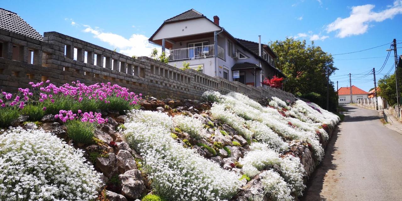 Szabo Vendeghaz Hotel Villany Exterior photo